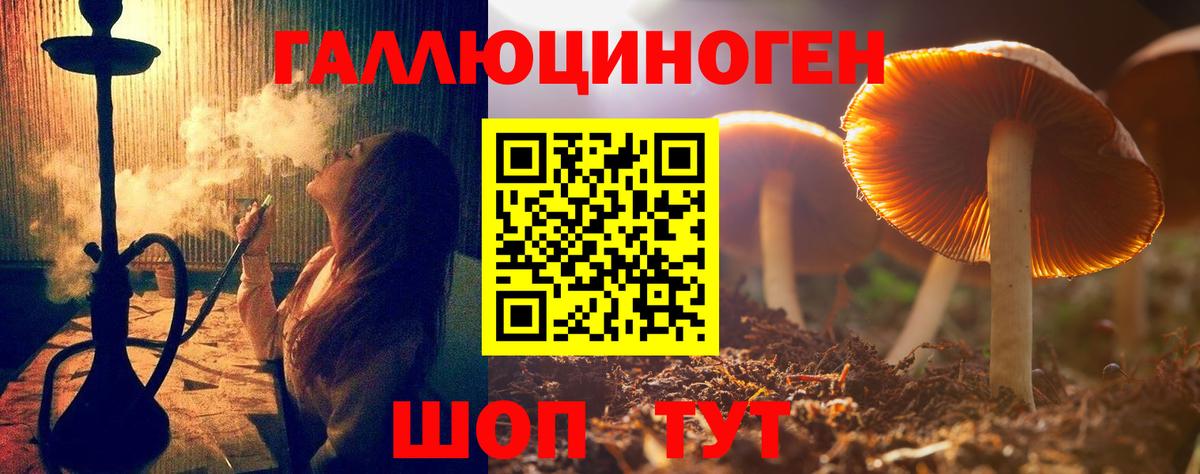 Десногорск  Псилоцибиновые грибы GOLDEN TEACHER  Вход с VPN  Галлюциногенные грибы прущие грибы 